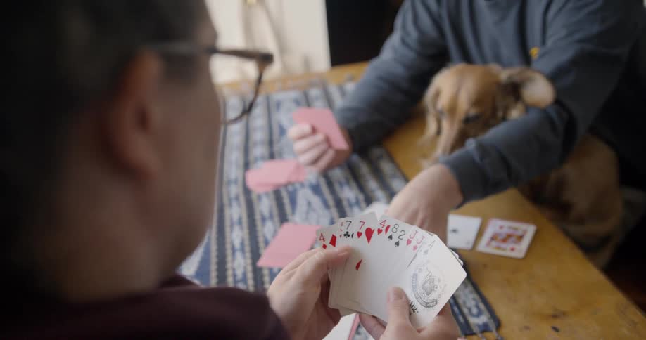 Two people playing cards with one person holding a dog in their lap
