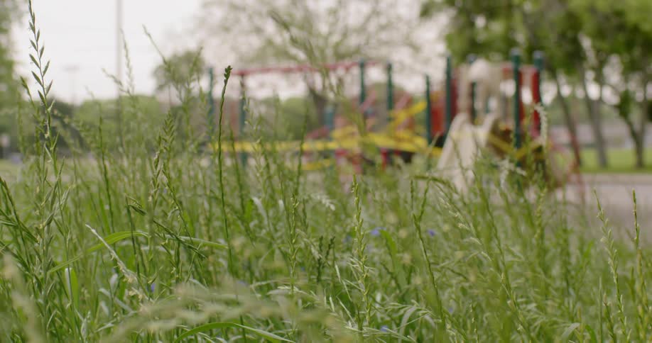 The wind blows the grass near the park
