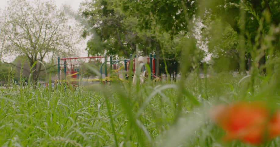 An orange flower in the overgrown grass of a park with the playground roped off with caution tape