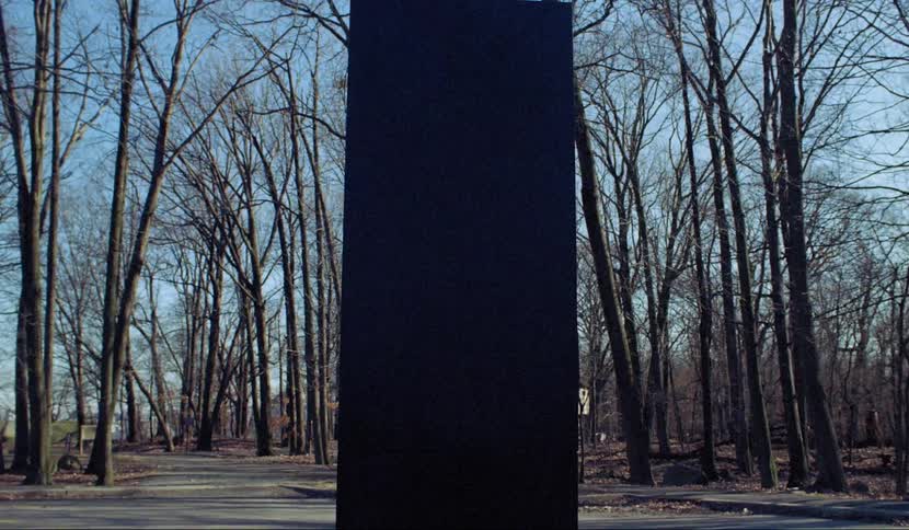 A black monolith on a road in a woodland