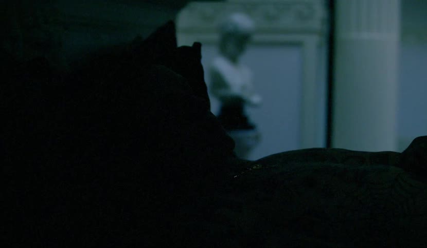 A shirtless man sleeping in a bed in a dimly lit but expensively decorated room