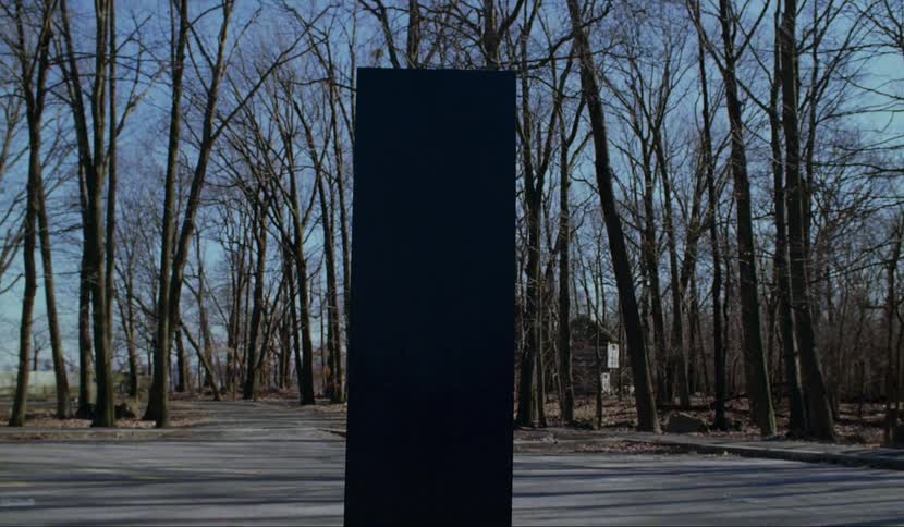 An object is standing upright in a forest area on the street