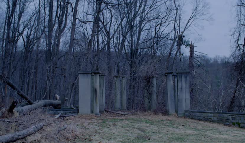 The remains of a stone structure in a woodland