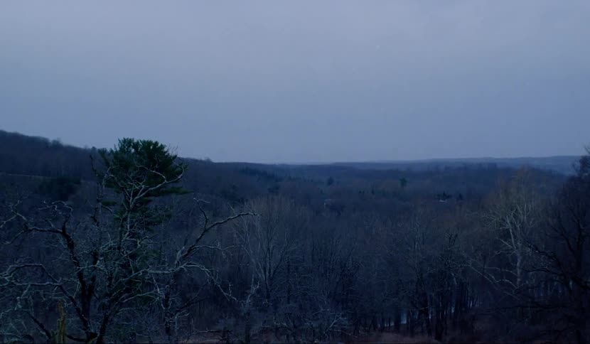 Forest landscape and a big black dot appearing on the screen