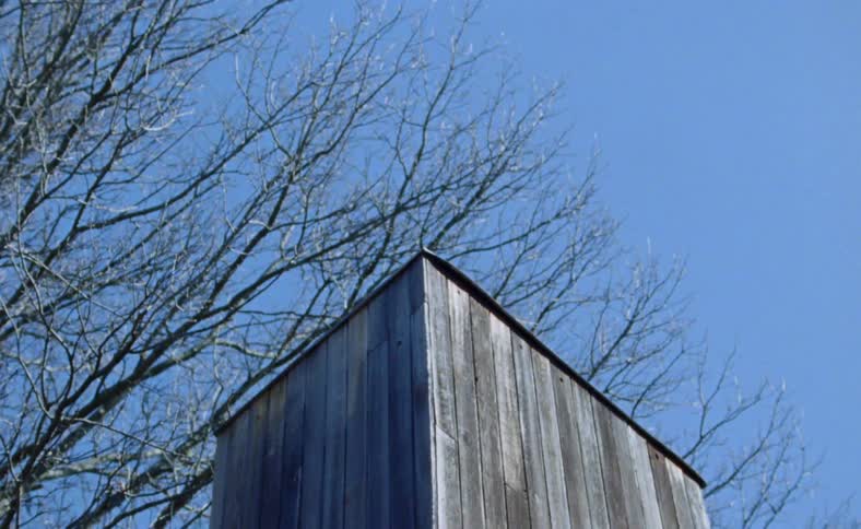 Wooden shed outdoors near trees at day
