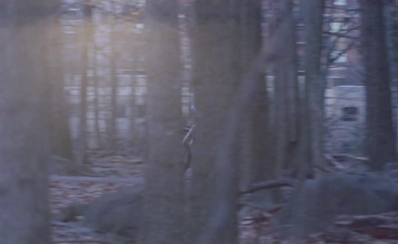 A person with a motorcycle riding in a pathway in a park