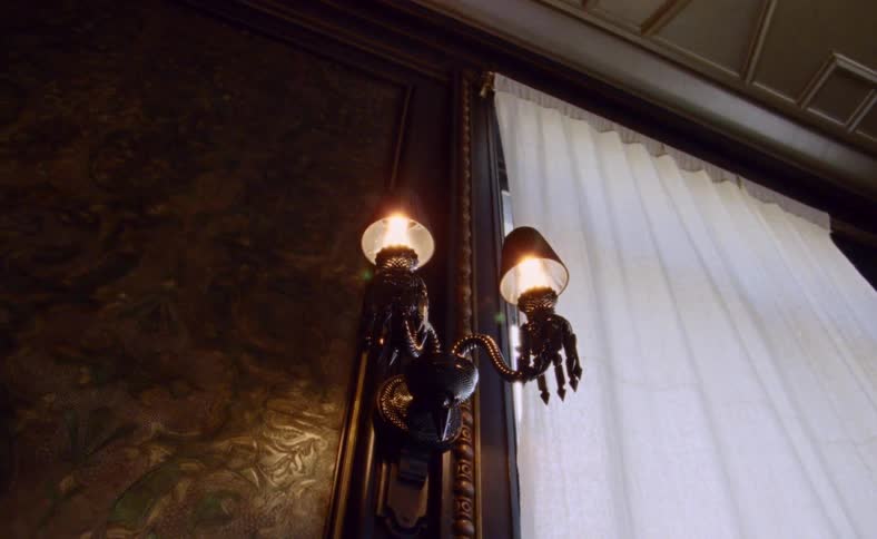The vintage wall lamp hanging on the wall gives light in the luxurious house