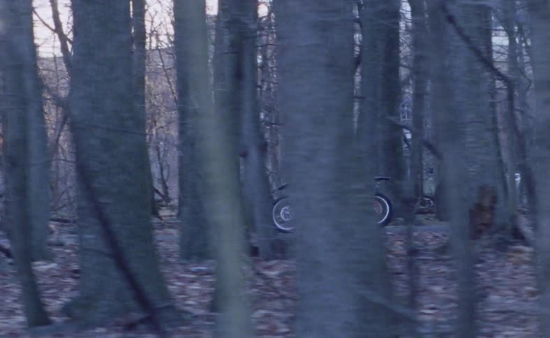 A person rides a motorcycle through a wooded area