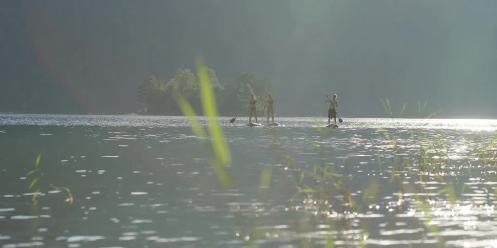 Two men and a woman on a lake paddle boarding