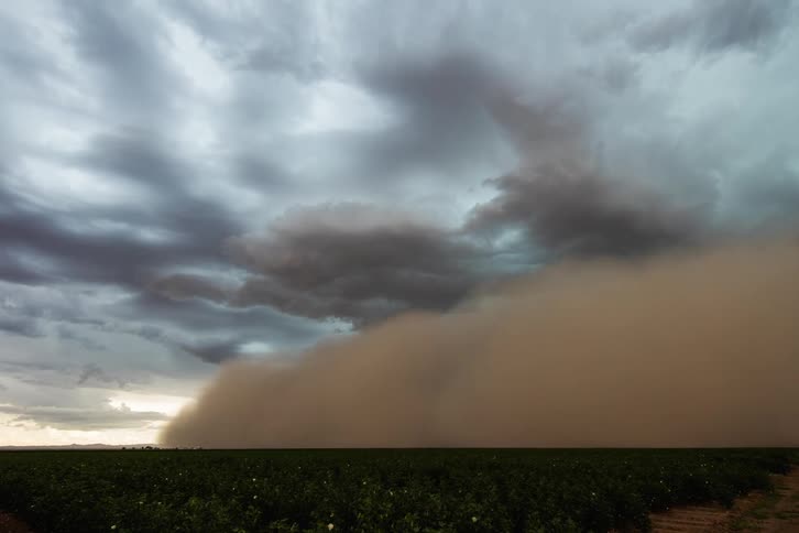 Dust storm blowing across a farm field