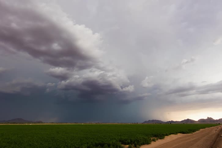 Storm clouds releasing rain over grassland at sunset