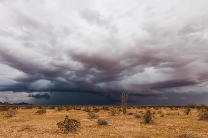 Storm clouds gather and move over the desert as the wind blows brush
