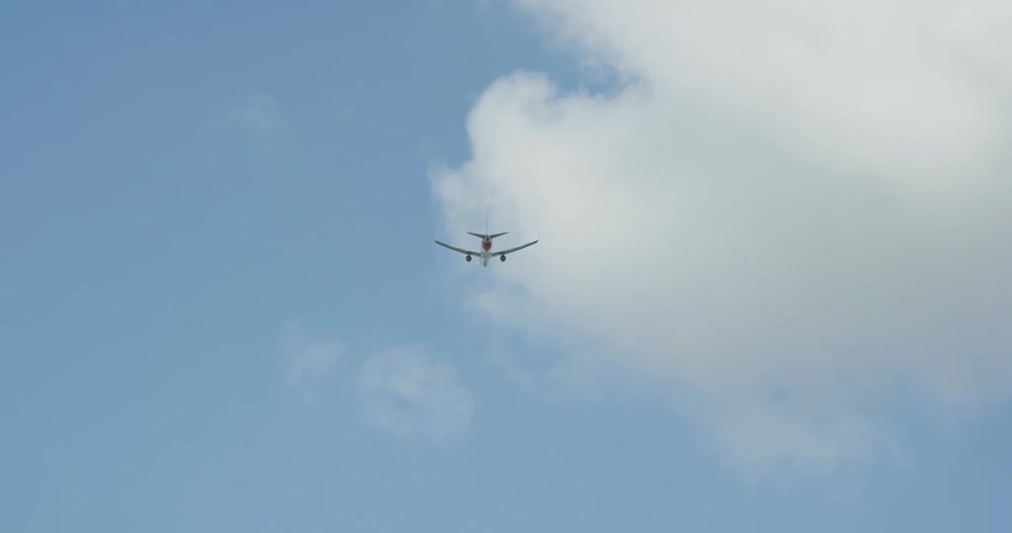 The plane flies into the sky