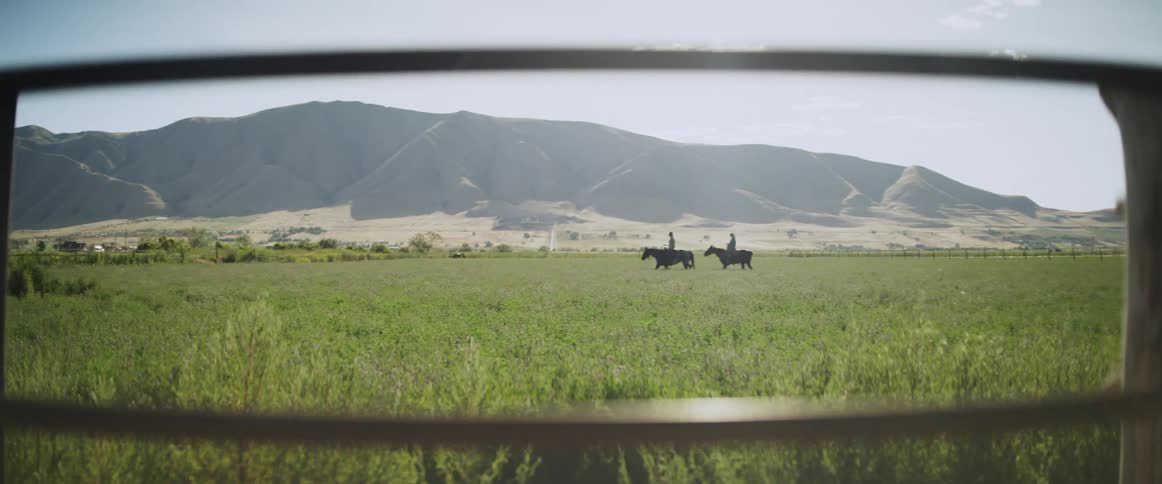 A pair of people riding horses through a field
