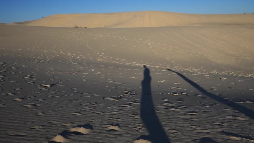 The shadows of two people as they walk in an area with sand dunes