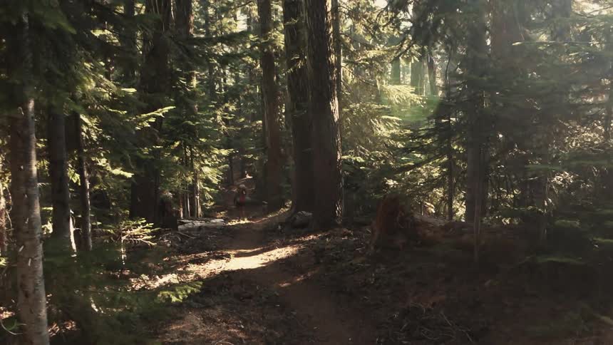 A person hiking through a forest during the day