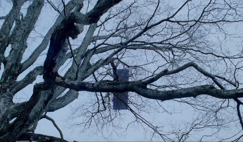 Rectangular shape floats in the air visible through the leafless tree branches