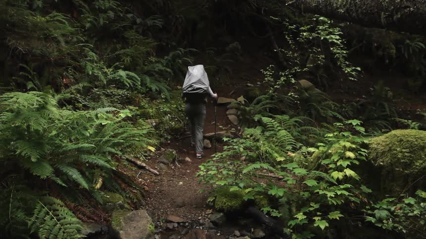 A person hiking through a forest during the day
