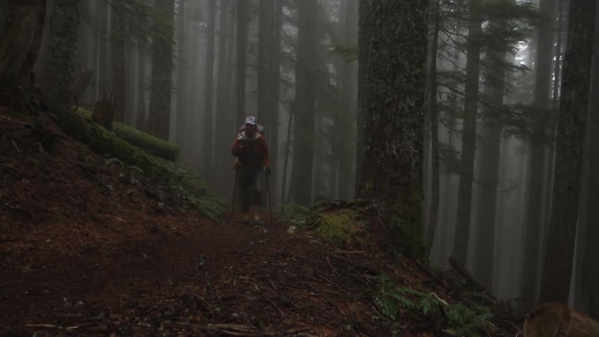 Hikers travelling along a dirt path in foggy woods