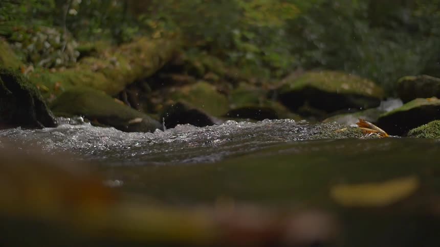 Water from a stream in slow motion