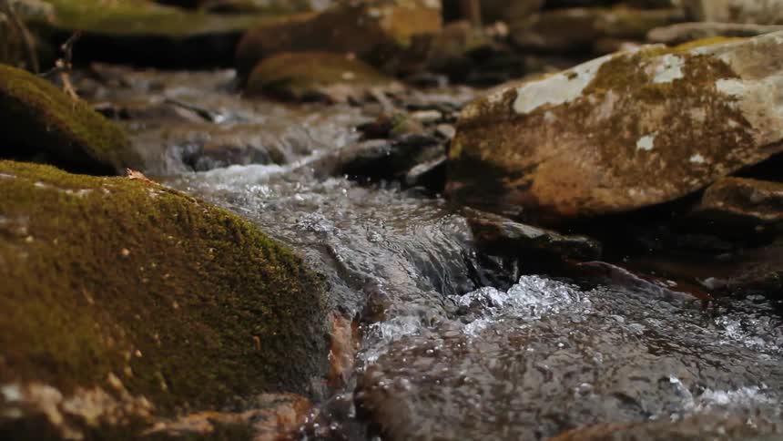 Close up of a small stream flowing through rocks