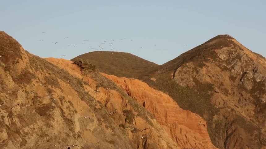 Birds fly near a mountain ridge