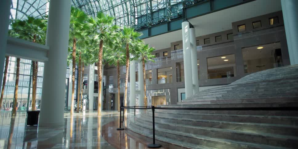 Palm trees and sunlight in the lobby atrium of a closed and empty building