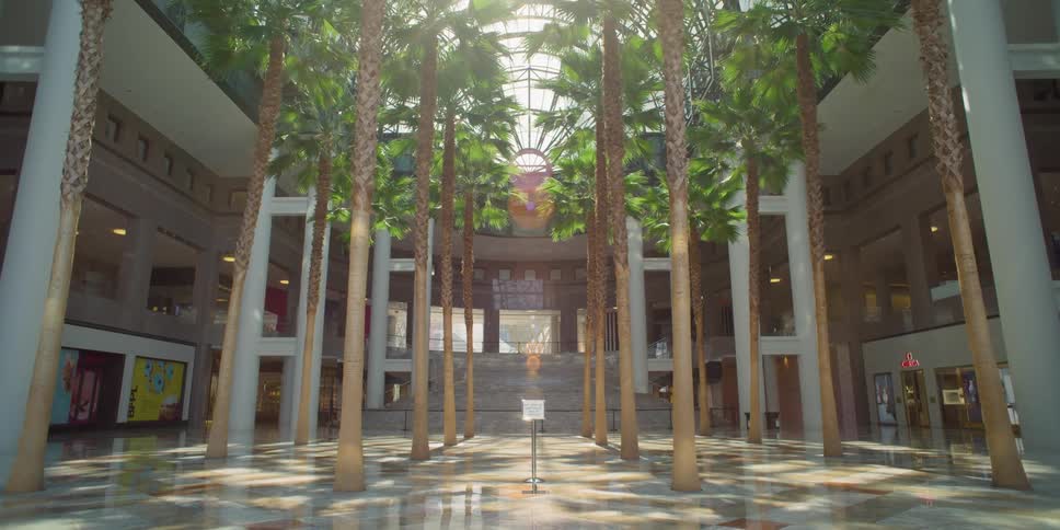 Palm trees stand in the atrium of a closed building with sunshine reflecting off the floors