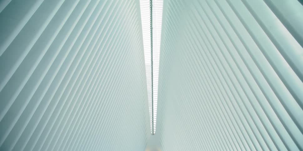 The beams of the building