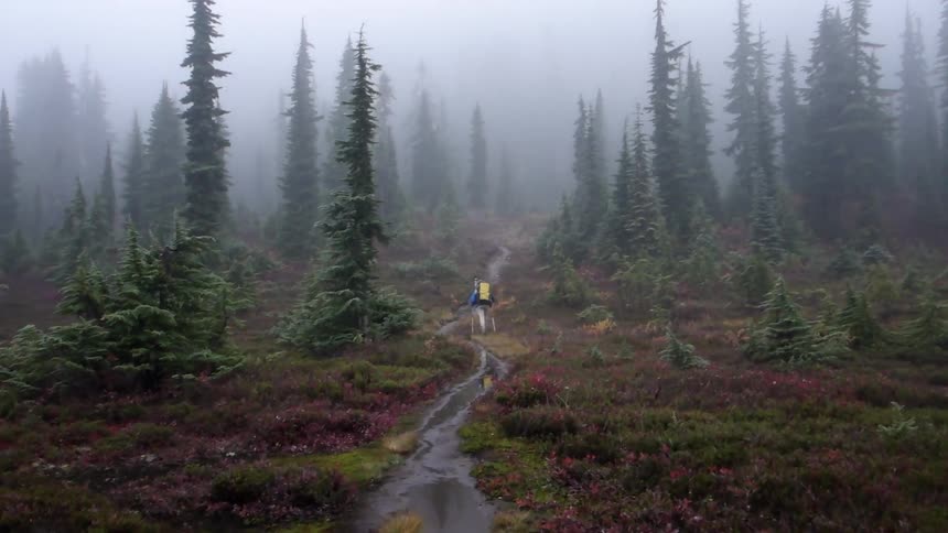 Walking along a dirt path towards the woods