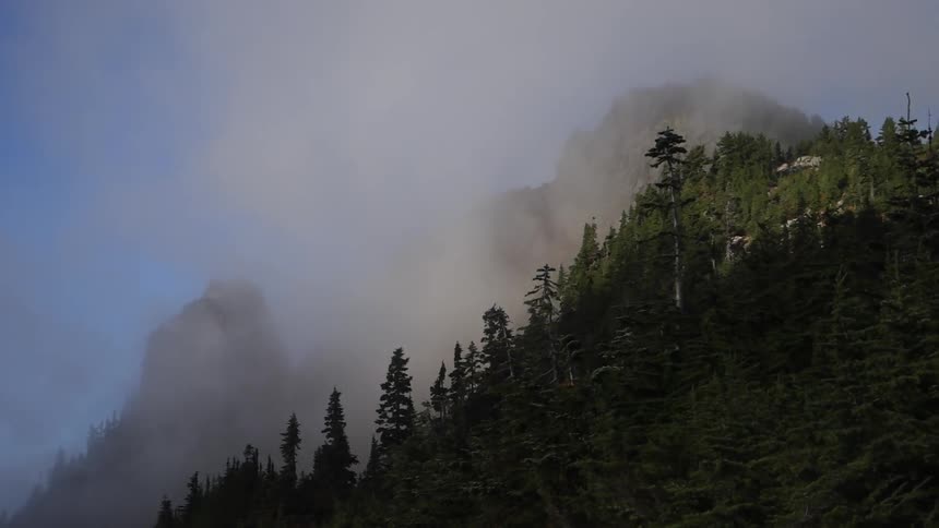 Steep hills are covered in trees and fog