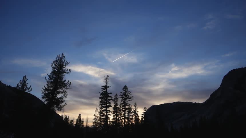 Silhouetted pine trees stand against the sky at sunset