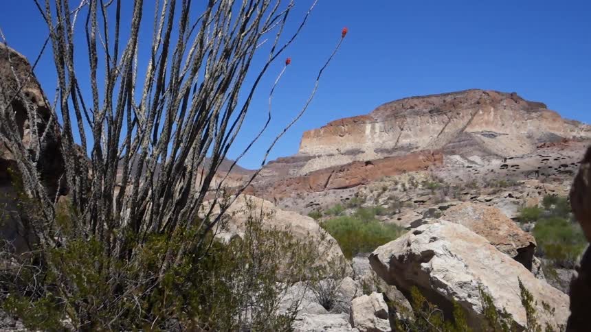 Boulders and shrubs litter a desert landscape