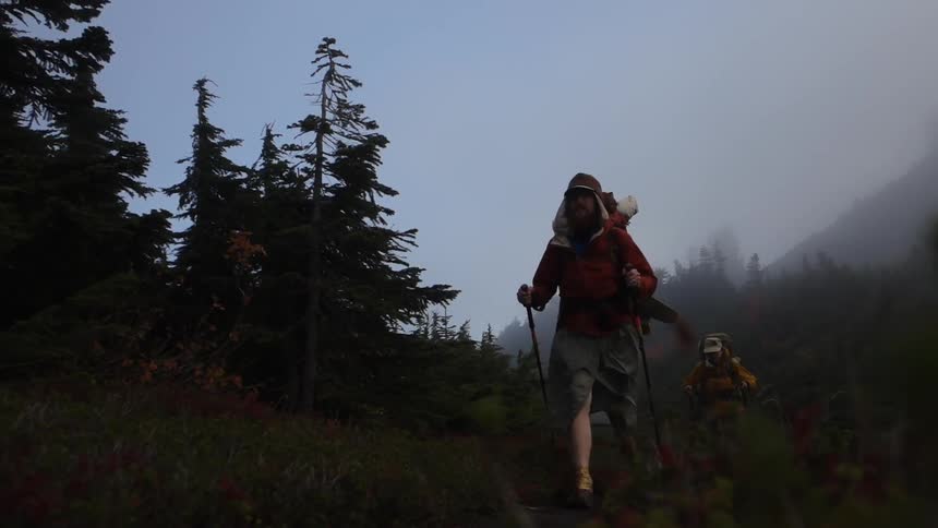 Two hikers are hiking through a tree-lined path at night in the mountains