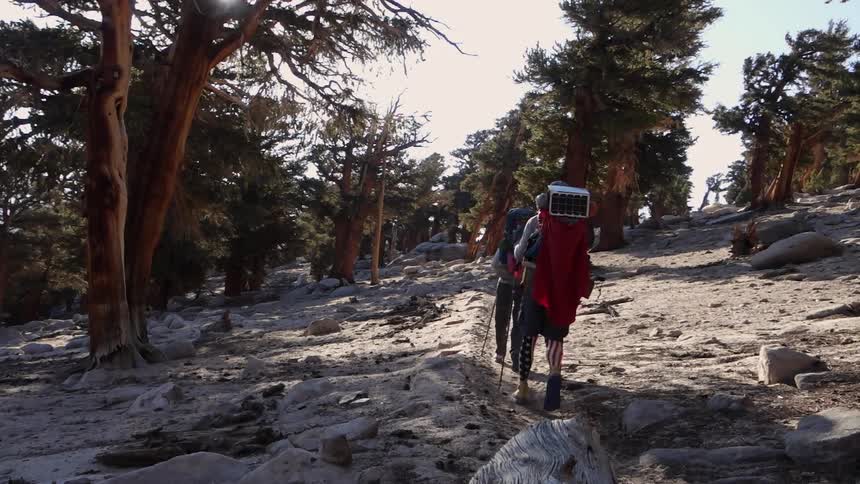 Hikers make their way up a mountain
