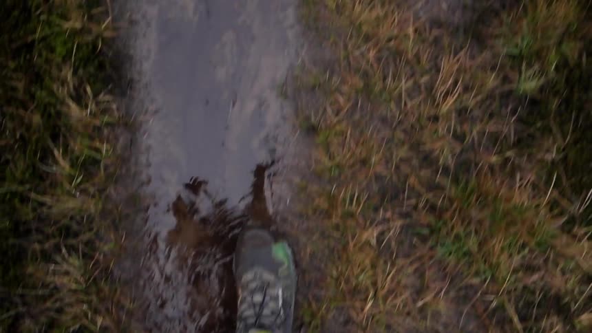 A person's feet while they walk a wet path