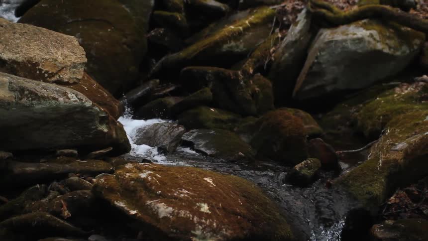 Water flowing along a narrow rocky stream
