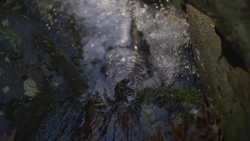 Smoky Mountains