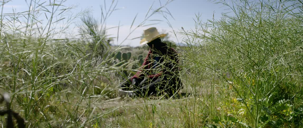 A man sits in a field with his face fully covered and wearing a cowboy hat
