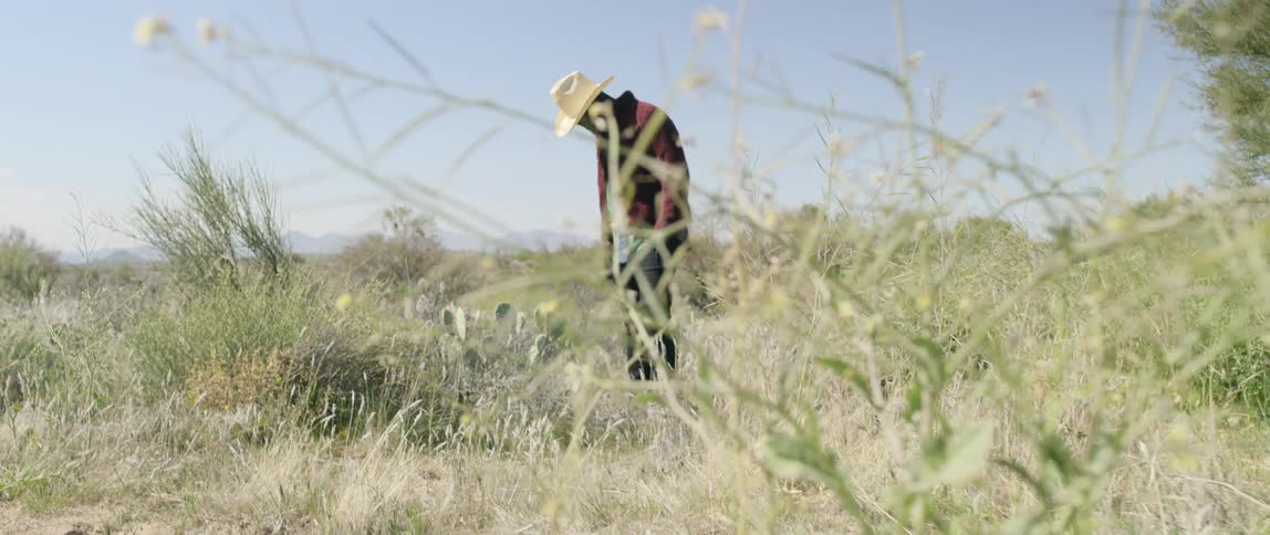 A person in a morph suit standing in a field