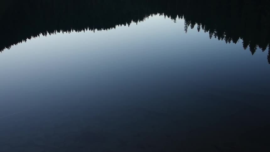 Trees are reflected on a calm lake