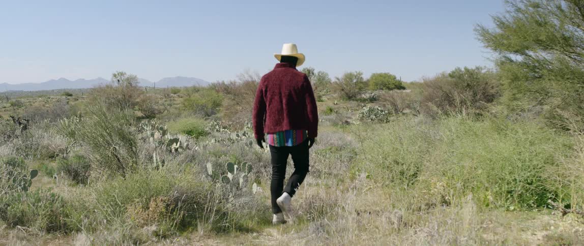 A man walking through and pausing in a field of desert vegetation