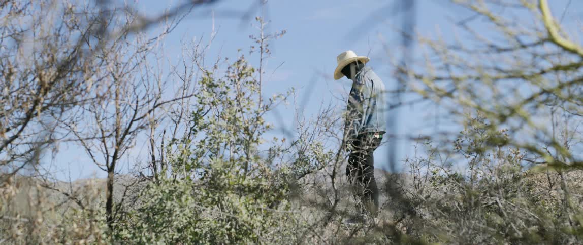 A man in a cowboy hat standing outdoors among low vegetation in a arid plain