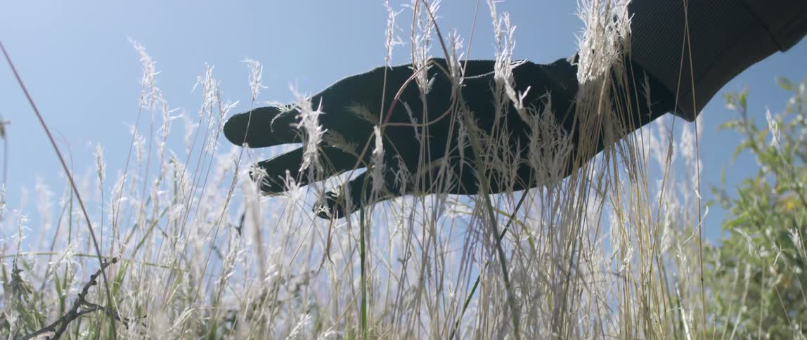 A gloved hand rests on top of white weeds