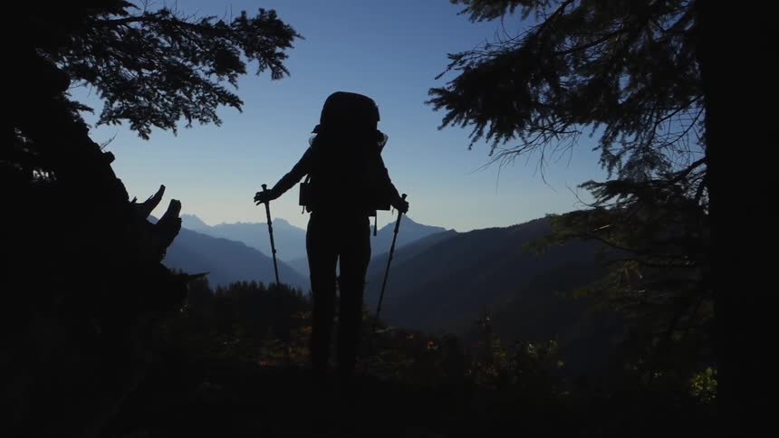 A hiker grasping two walking sticks, standing between trees and looking out over a mountain range