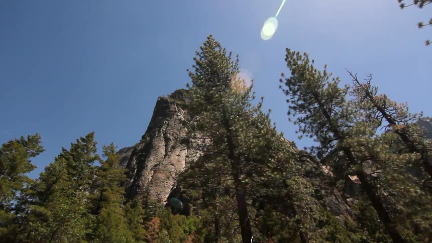 View of tall trees and mountains on a sunny day