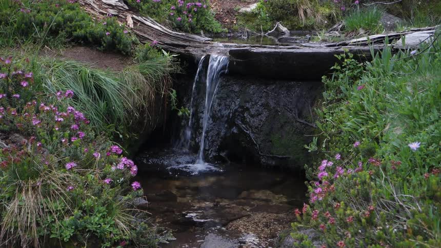 Water falls into a small brook from above