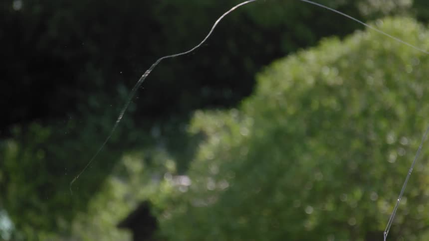A fishing line is cast
