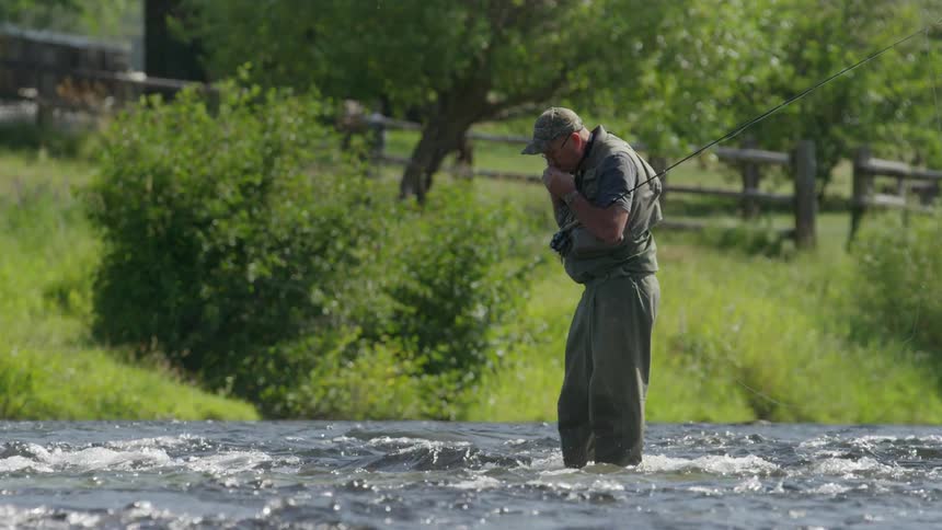 A fisherman stands in a shallow river with a fishing pole