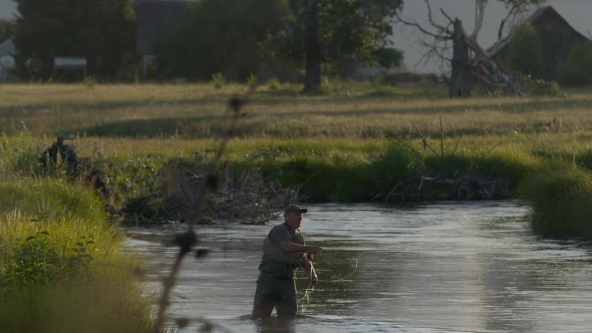 A man is fly fishing in a swamp on a sunny day